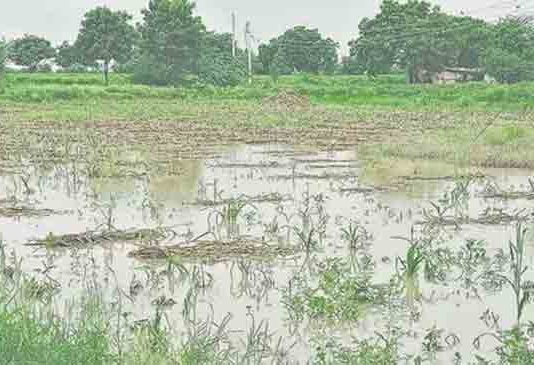 शेतकऱ्यांना मदत कधी मिळणार?