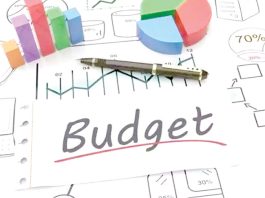 Budget 2025 : १२ लाखांपर्यंत उत्पन्न करमुक्त; करदात्यांना अर्थसंकल्पात मोठा दिलासा!