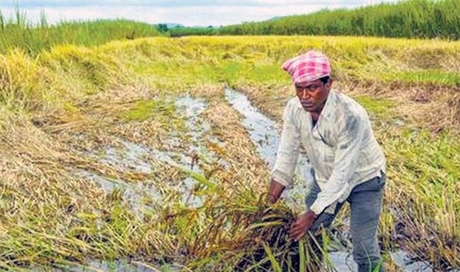 Rain Alert : पुढील ४८ तासांत महाराष्ट्रासह ‘या’ राज्यात अवकाळी पाऊस!