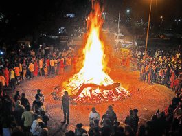 ‘होळी’ सणाच्या कालावधीत वृक्षतोड करू नये - बीएमसी