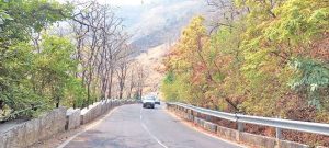 माथेरानमध्ये भरलाय निसर्गाचा रंगोत्सव…