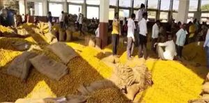 हळदीला योग्य भाव मिळत नसल्याने शेतकरी आक्रमक
