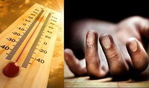 Heatstroke : उष्माघाताचा पहिला बळी
