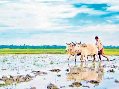 MSP increased : सणासुदीच्या काळात मोदी सरकारची शेतकर्‍यांसाठी खुशखबर!