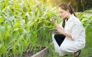 Agricultural courses : कृषी अभ्यासक्रमांना प्रवेश घेणार्या विद्यार्थ्यांना मोठा दिलासा!
