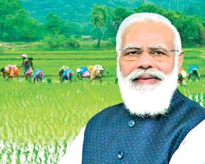 Farmer Friendly PM Narendra Modi : मोदी, शेतकरी हितैषी पंतप्रधान...