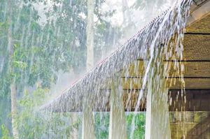 Rain Alert: कुठे पाऊस तर कुठे ऊन; हवामान विभागाने वर्तवला अंदाज