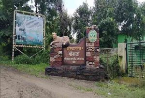 Gautala Sanctuary : गौताळा अभयारण्यात पर्यटकांना बंदी... काय आहे याचं कारण?
