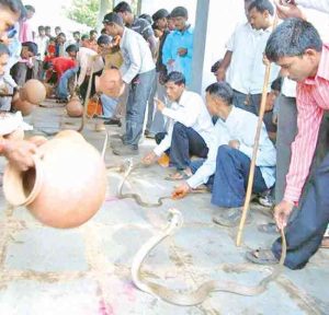 Nagpanchami : जगप्रसिद्ध ३२ शिराळा नागपंचमी
