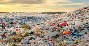 Say No to Plastic : कापडी पिशव्या वापरा... नाहीतर 'या' कठीण कारवाईला सामोरे जा