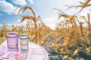 Rain effects on Economy : पाऊस अर्थव्यवस्थेला घालणार पाण्यात...