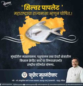 State Fish of Maharashtra : 'पापलेट' महाराष्ट्राचा राज्य मासा म्हणून घोषित