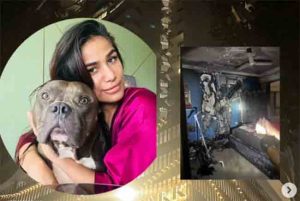 Poonam Pandey : हॉट अभिनेत्री-मॉडेल पूनम पांडेच्या घराला लागली आग; जीवितहानी टळली