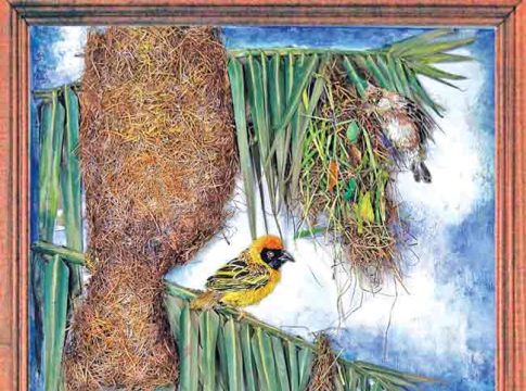 Weaver bird : महान वास्तुविशारद सुगरण