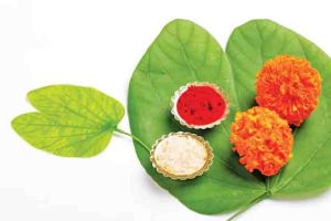 Dussehra : दसरा : गरज वैचारिक सीमोल्लंघनाची