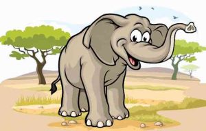 Elephant : हत्ती