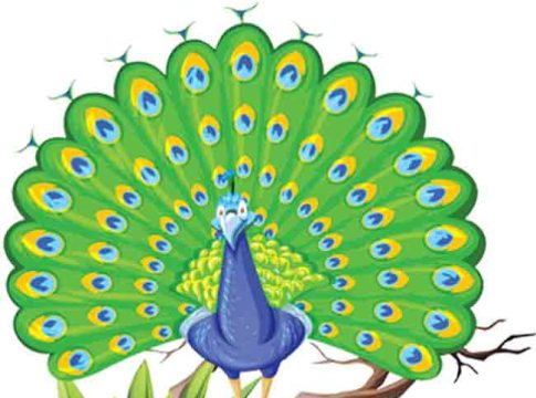 काव्यरंग : केतकीच्या बनी तिथे...