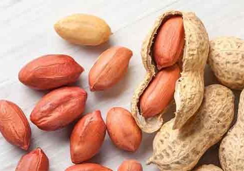Health: थंडीच्या दिवसांत शेंगदाणे खाण्याचे फायदे वाचून लगेचच कराल सुरूवात