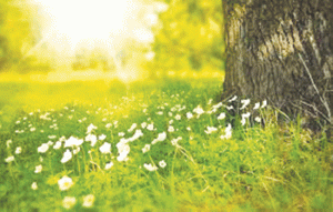 फिटला संदेहो निमाले दुजेपण