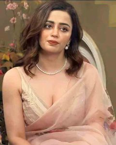 Neha Pendse : नेहा पेंडसेचे पाच मंत्रमुग्ध करणारे साडी लूक