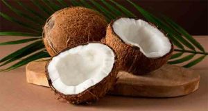 Health: ओला नारळ आहे आरोग्यासाठी वरदान, खाल्ल्याने मिळतील भरपूर फायदे