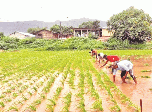farmer scheme : शेतकऱ्यांना 'या' तीन योजना ठरताहेत वरदान; होणार चांगला फायदा