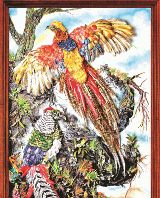 Pheasant : रेशमी इंद्रधनू तितर