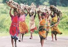 आदिवासी महिला सक्षम होतील,  तो असेल खरा जागतिक महिला दिन!