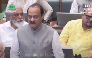 Interim Budget : राज्याच्या विकासाला गती देणारा सर्वसमावेशक अर्थसंकल्प!