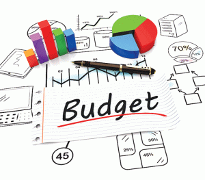Budget 2025 : 'हे' शब्द समजले तरच अर्थसंकल्प कळेल