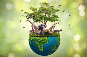 Wildlife conservation : वन्यजीवांचे रक्षण काय साधते...?