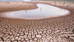 Rivers dried up : उन्हाळ्याला सुरुवात नाही तोच १३ नद्यांमधील पाणी पूर्णपणे आटलं!