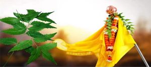 Gudi Padwa 2024: गुढी उतरवल्यानंतर कडुलिंबाच्या पानाचा 'असा' करा वापर
