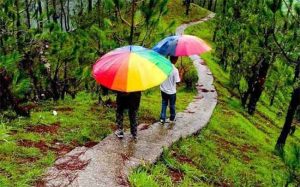 Monsoon Trip : काही दिवसांवर येऊन ठेपला पावसाळा; 'या' ठिकाणी जायचा आत्ताच बेत आखा!