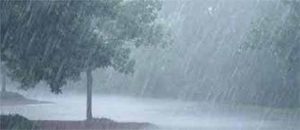 Weather changes in Maharashtra : महाराष्ट्रात पुन्हा बदलले हवामान; शनिवारी अनेक भागांत पावसाचा अंदाज, ७ जिल्ह्यांना यलो अलर्ट जारी!