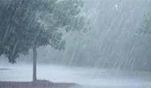 Maharashtra Weather : फेंगलचा महाराष्ट्राला तडाखा! हिवाळ्यात कोसळणार पावसाच्या धारा