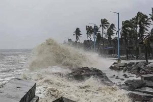 Remal Cyclone : रेमल चक्रीवादळाचा जोरदार फटका! झाडे पडली, पत्रे उडाले आणि...