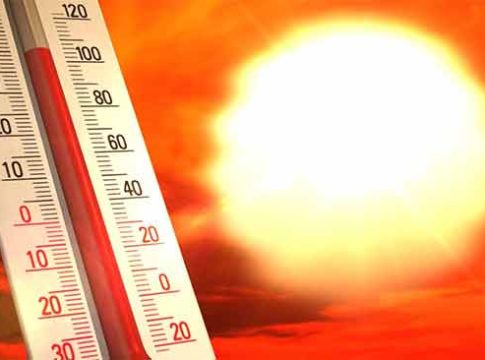 Heat Wave : मृत्यूचे तांडव! माणसांसह पक्षीही ठरले उष्माघाताचे बळी