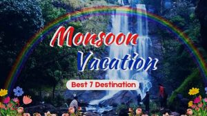 Monsoon Trip : मुंबईच्या वनराईत दडलेल्या धबधब्यांची गोष्टच न्यारी! वनडे पिकनिकसाठी 'हे' आहेत भन्नाट पर्याय