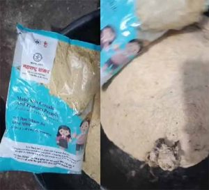 OMG : अरे बाप रे! शालेय पोषण आहारात आढळली मृत चिमणी
