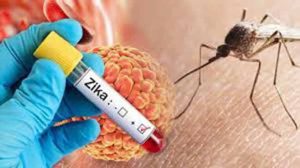 Zika Virus : पुण्यात झिकाचे थैमान! रुग्णांचा आकडा ६६वर; २६ गर्भवती महिलांचा समावेश