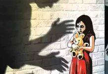 Jalgaon Crime : अल्पवयीन मुलीशी अश्लील वर्तनाचा आरोप, संतप्त जमावाने थेट शिक्षकाची कार पेटवली