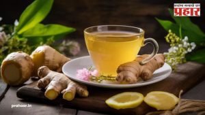 Ginger Water: दररोज रिकाम्या पोटी प्या आल्याचे पाणी, हे होतीत ‘५’ फायदे