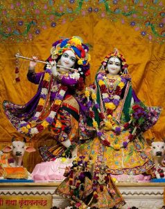 Janmashtami 2024 across India: भारतात ‘या’ ५ ठिकाणी उत्साहात साजरी केली जाते कृष्ण जन्माष्टमी!