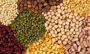 कडधान्यांची  गोष्ट : कविता आणि काव्यकोडी