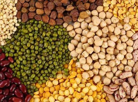 कडधान्यांची  गोष्ट : कविता आणि काव्यकोडी