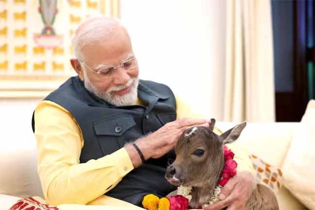 PM Narendra Modi : पंतप्रधानांच्या घरी आला नवा पाहुणा! प्रिय माता गायीने दिला वासराला जन्म