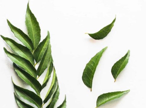 Weight Loss : वेगाने वजन घटवायचे आहे तर रिकाम्या पोटी प्या कडिपत्त्याचा ज्यूस