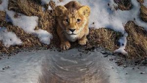 Mufasa: The Lion King : मुफासा: द लायन किंगचा हिंदी ट्रेलर रिलीज; शाहरुखचा छोटा मुलगा करणार सिंह गर्जना!