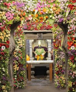 Pandhari : हरी नामाच्या गजराने पंढरी दुमदुमली